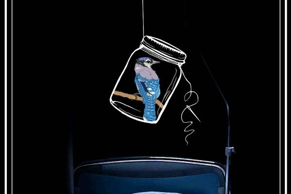 Cover VOICES Spring 2022 bird in jar hanging above hospital bed